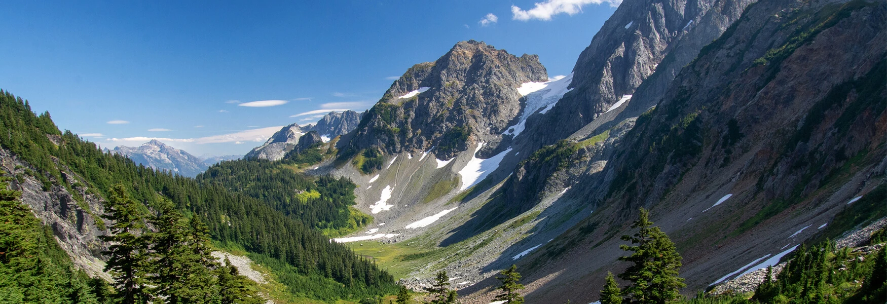 Salveo-Psychodynamic