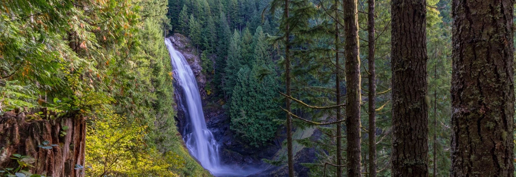 Salveo-Abuse-Recovery