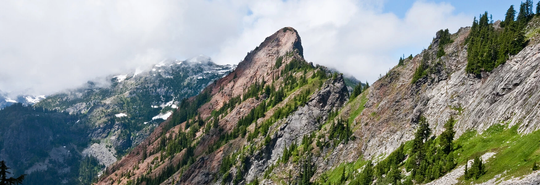 Salveo-Chronic-Medical-Illness