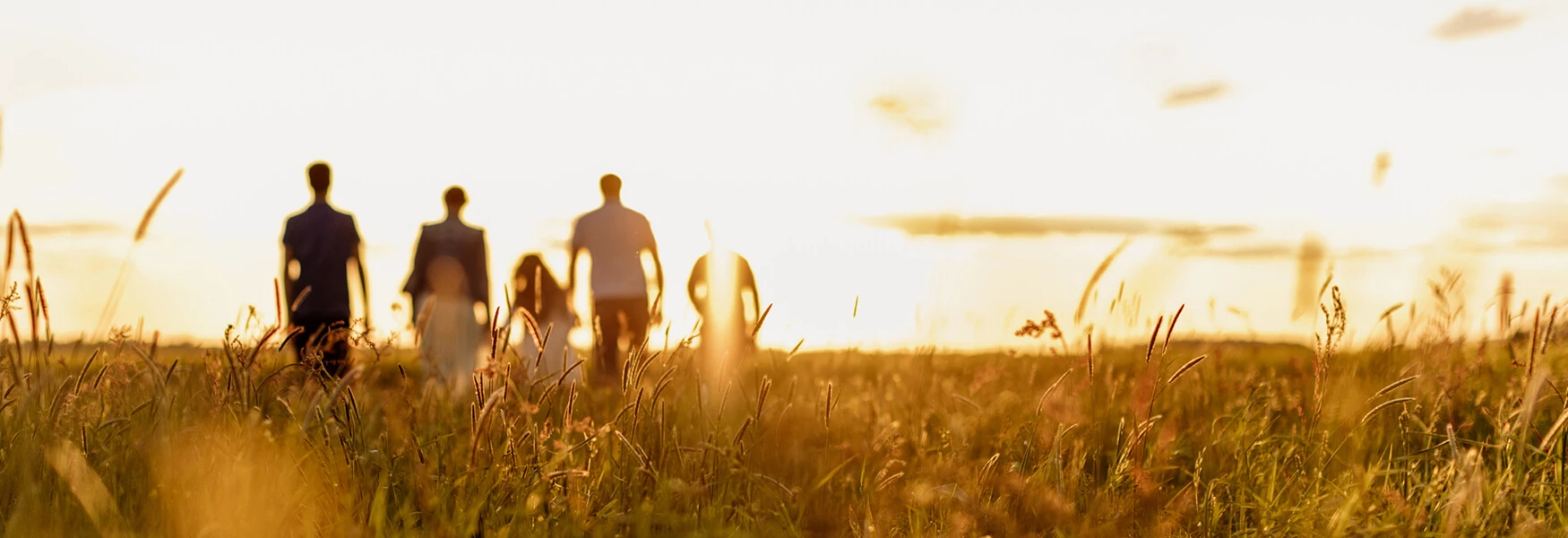 Salveo-Family-Conflict