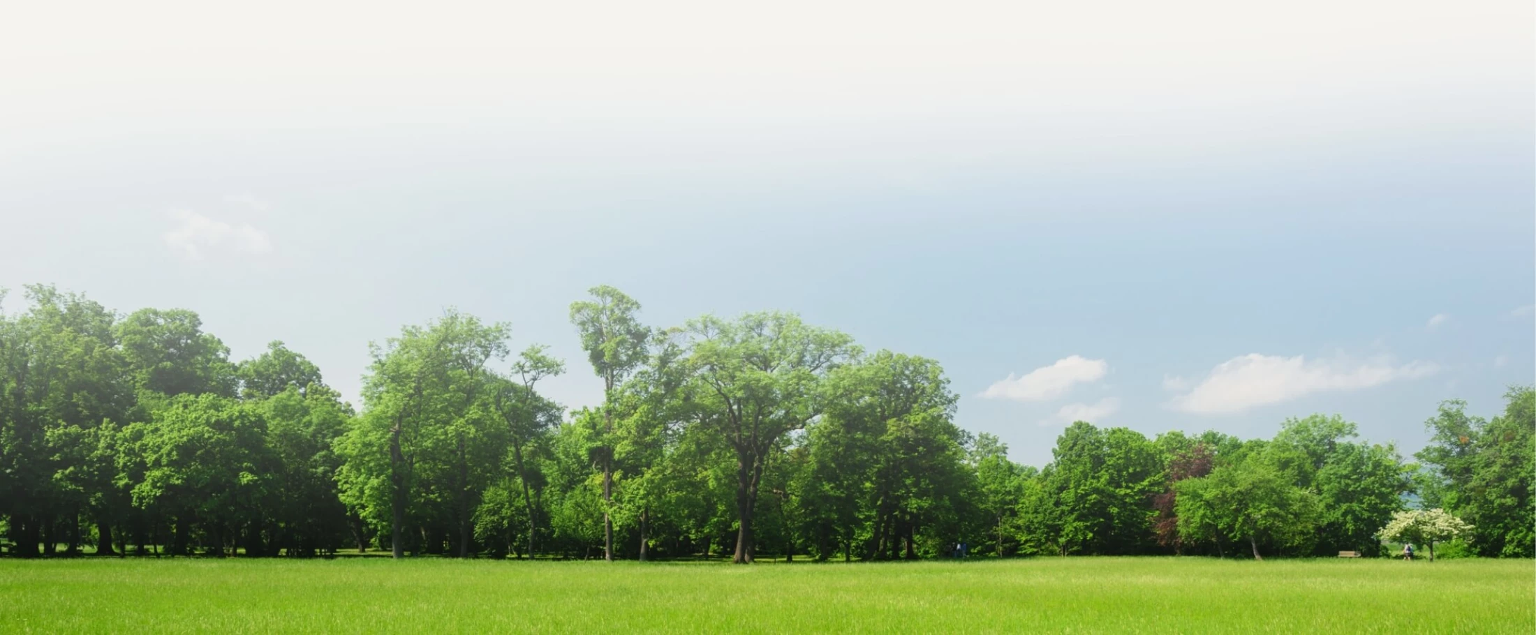 redmond-youth-counseling-cta