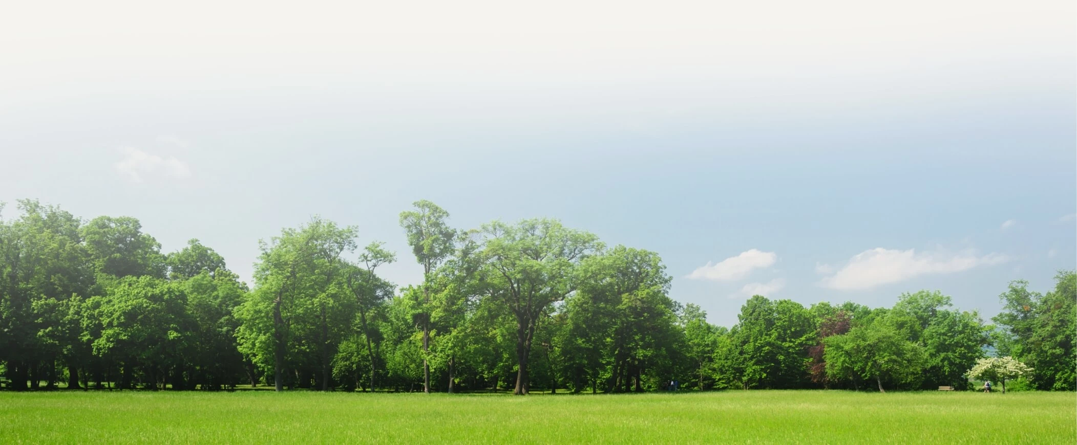 redmond-youth-counseling-cta