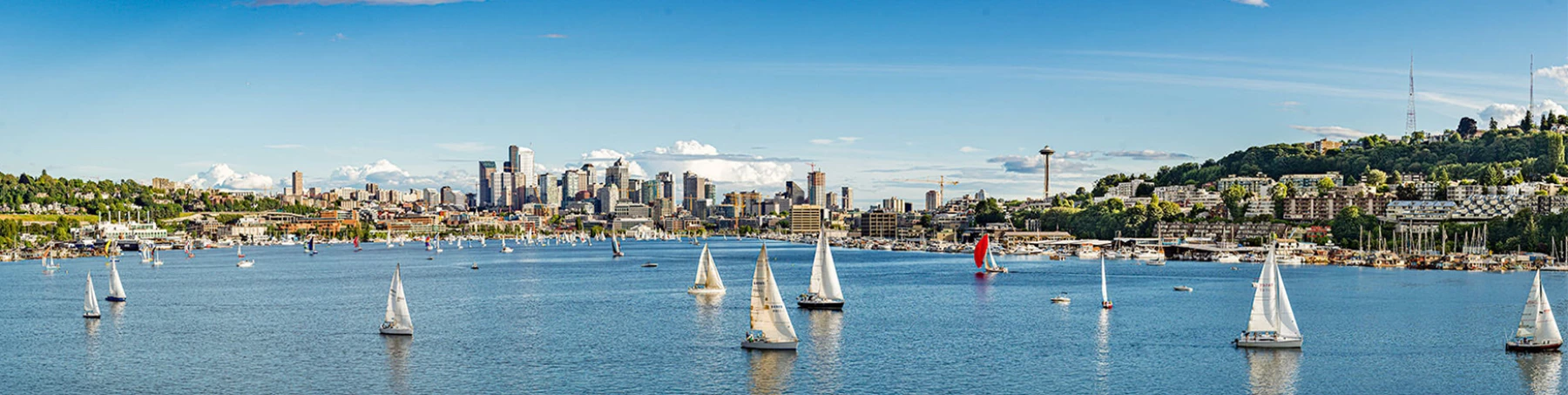 Salveo-Seattle-4